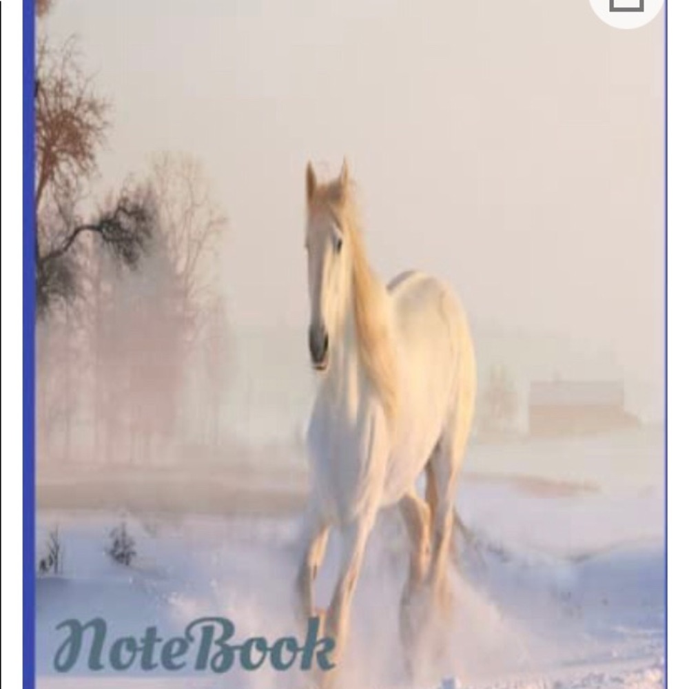 Notebook with college ruled lined paper
